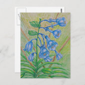 BlueBell-Blume Postkarte (Vorne/Hinten)