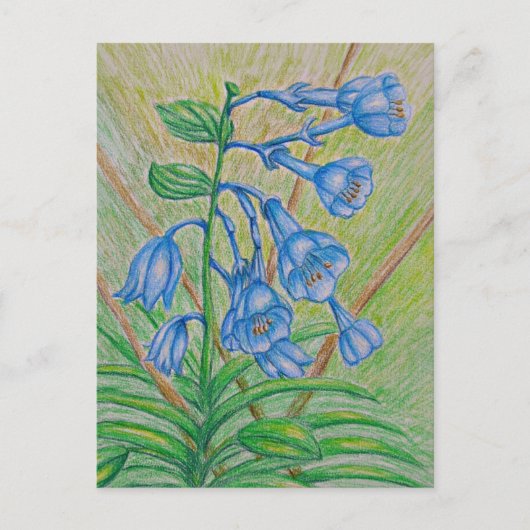 BlueBell-Blume Postkarte (Vorderseite)