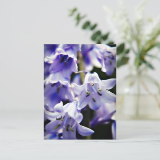 Bluebell-Blume-Postkarte Postkarte (Stehend Vorderseite)