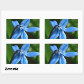Bluebell-Blume Rechteckiger Aufkleber (Blatt)