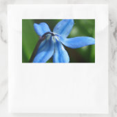Bluebell-Blume Rechteckiger Aufkleber (Tasche)