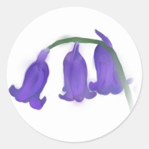 Bluebell-Blumen-runder Aufkleber