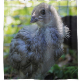 Bluebell Duschvorhang