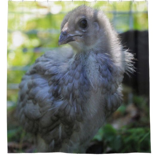 Bluebell Duschvorhang (Vorderseite)