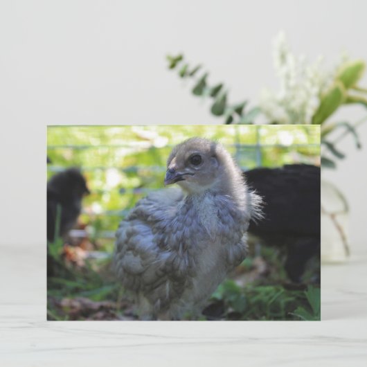 Bluebell Einladung (Stehend Vorderseite)