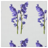 Bluebell Fabric Muster. Stoff (Muster)