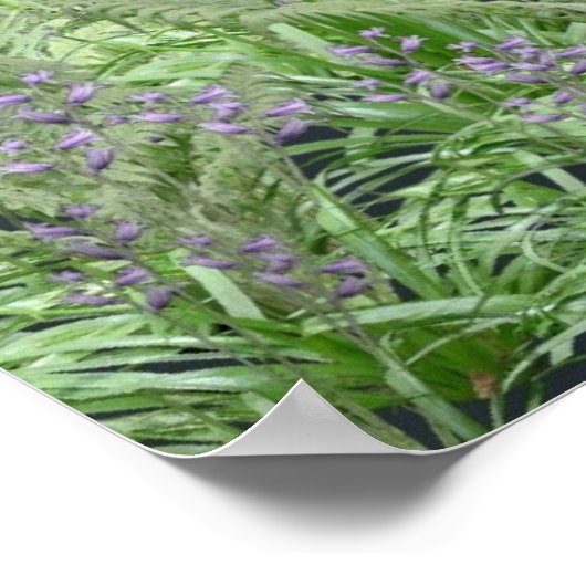 Bluebell Fairy im Frühjahr-Wald Poster (Ecke)