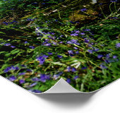 Bluebell Forrest Wild Blume Fotografie Poster (Ecke)