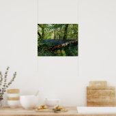 Bluebell Forrest Wild Blume Fotografie Poster (Küche)