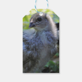 Bluebell Geschenkanhänger