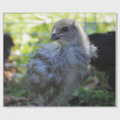 Bluebell Geschenkpapier (Flach)