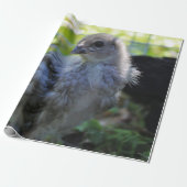 Bluebell Geschenkpapier (Ungerollt)