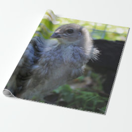 Bluebell Geschenkpapier