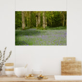 BLUEBELL HOLZ 2 POSTER (Küche)