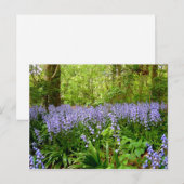 BLUEBELL HOLZ ~ POSTCARD POSTKARTE (Vorne/Hinten)