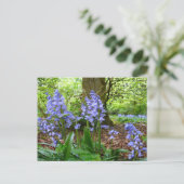 BLUEBELL HOLZ ~ Postkarte Nr. 3 (Stehend Vorderseite)