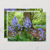BLUEBELL HOLZ ~ Postkarte Nr. 3 (Vorne/Hinten)