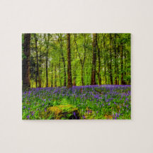 Bluebell-Holz