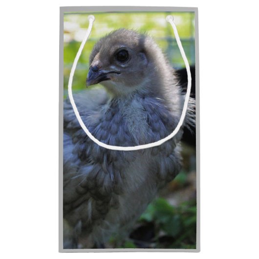 Bluebell Kleine Geschenktüte (Rückseite)