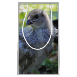 Bluebell Kleine Geschenktüte