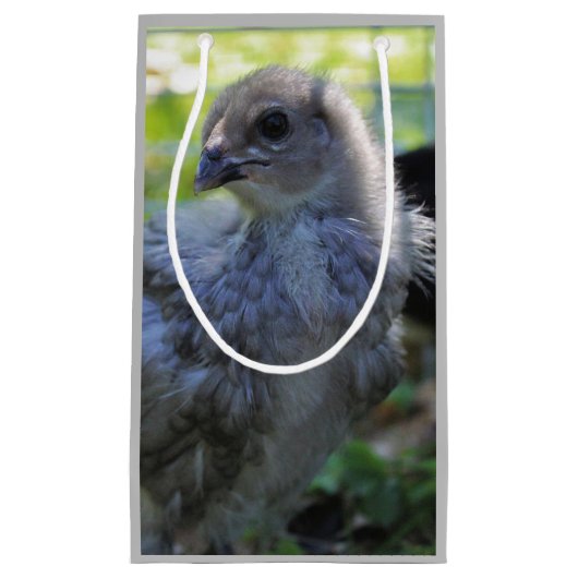 Bluebell Kleine Geschenktüte (Vorderseite)