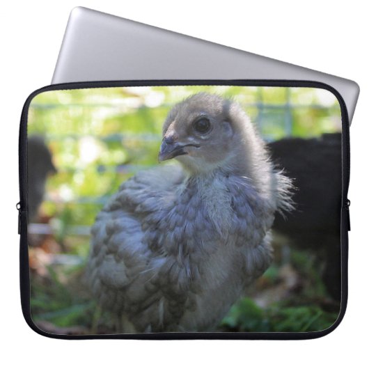 Bluebell Laptopschutzhülle (Vorderseite)