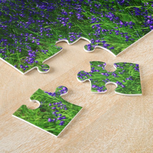 Bluebell Light Puzzle (Seite)