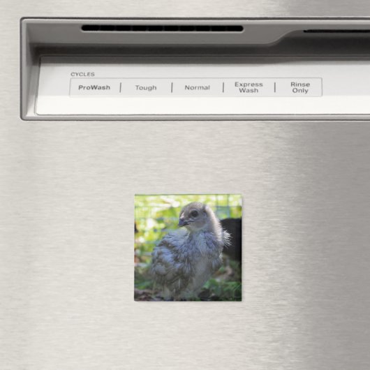 Bluebell Magnet (In Situ (Geschirrspüler))