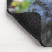 Bluebell Mousepad (Ecke)