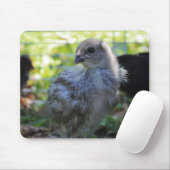 Bluebell Mousepad (Mit Mouse)