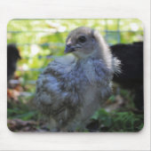 Bluebell Mousepad (Vorne)