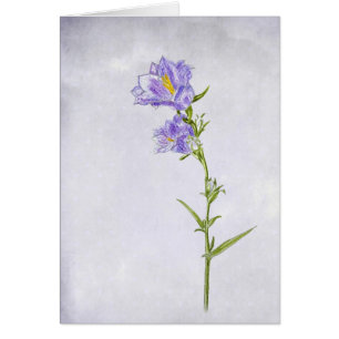 Bluebell Painting