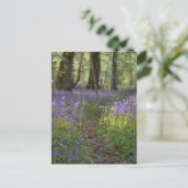 Bluebell Path Postcard Postkarte (Stehend Vorderseite)