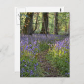 Bluebell Path Postcard Postkarte (Vorne/Hinten)