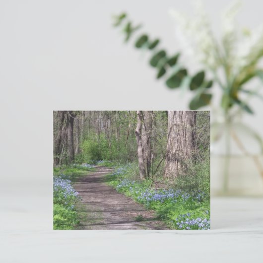 Bluebell Path Postkarte (Stehend Vorderseite)