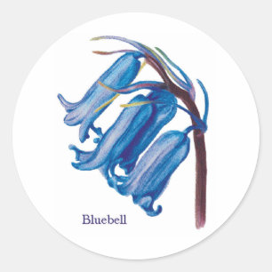 Bluebell Runder Aufkleber