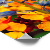 Bluebell Spring Flowers Hyacinthoides Poster (Ecke)