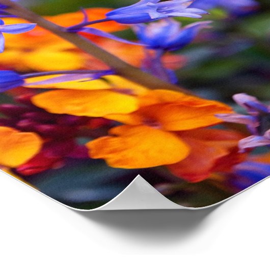 Bluebell Spring Flowers Hyacinthoides Poster (Ecke)