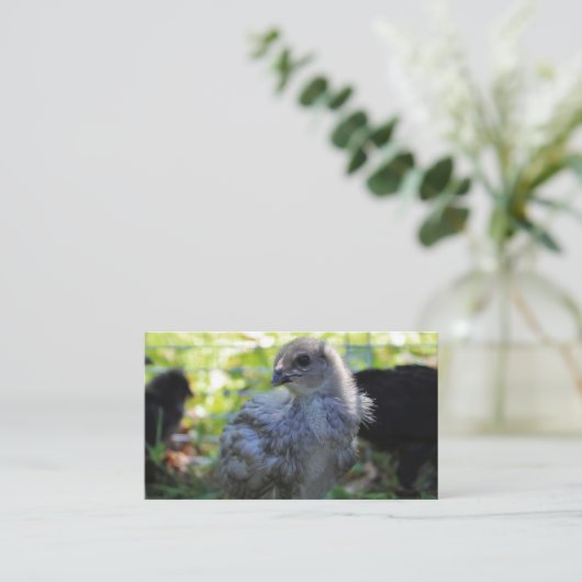 Bluebell Visitenkarte (Stehend Vorderseite)