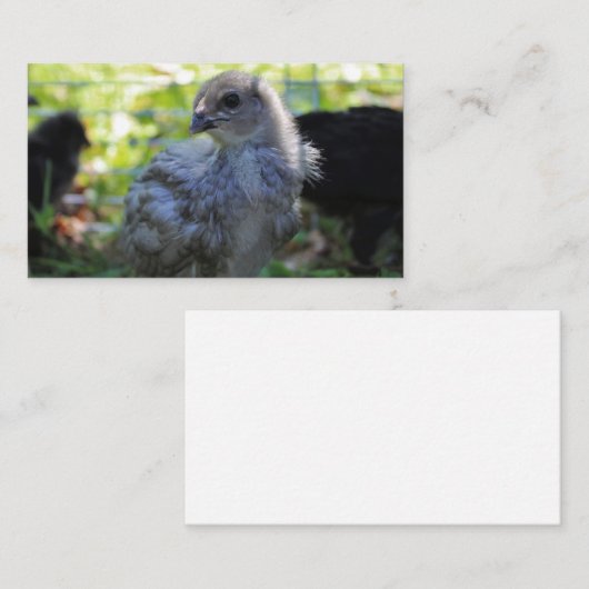 Bluebell Visitenkarte (Vorne/Hinten)