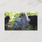 Bluebell Visitenkarte (Vorderseite)