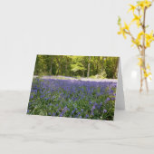 Bluebell Wood Faltkarte Karte (Gelbe Blume)