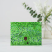 Bluebell Wood Igel Postkarte (Stehend Vorderseite)