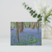 Bluebell Wood Postcard Postkarte (Stehend Vorderseite)