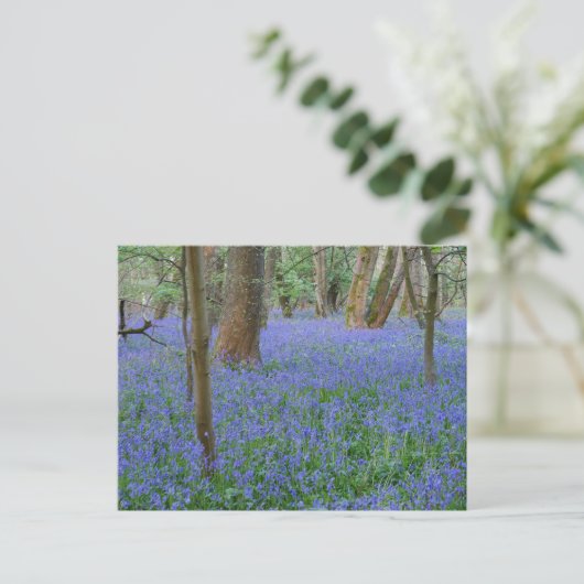 Bluebell Wood Postcard Postkarte (Stehend Vorderseite)