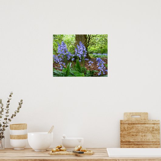 BLUEBELL WOOD ~ Poster # 2 (Küche)