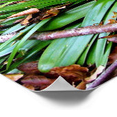 BLUEBELL WOOD ~ Poster # 6 (Ecke)