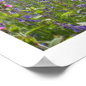 Bluebell Wood Print Poster (Ecke)