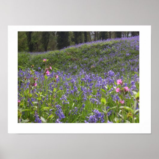 Bluebell Wood Print Poster (Vorne)
