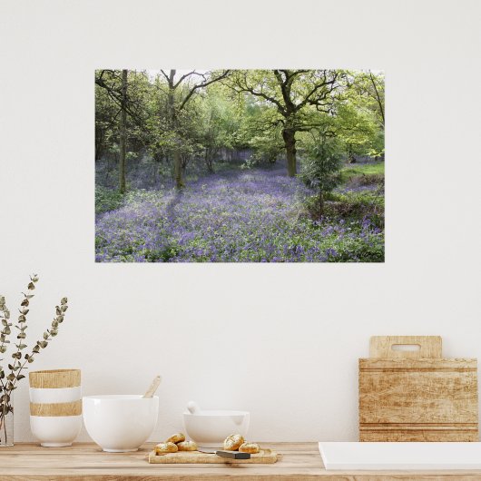 Bluebell Woods II Poster (Küche)